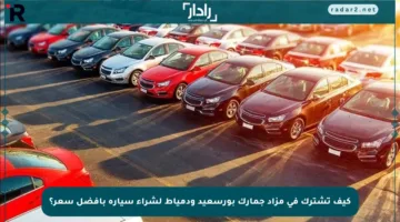 كيف تشترك في مزاد جمارك بورسعيد ودمياط لشراء سيارة بأفضل سعر؟